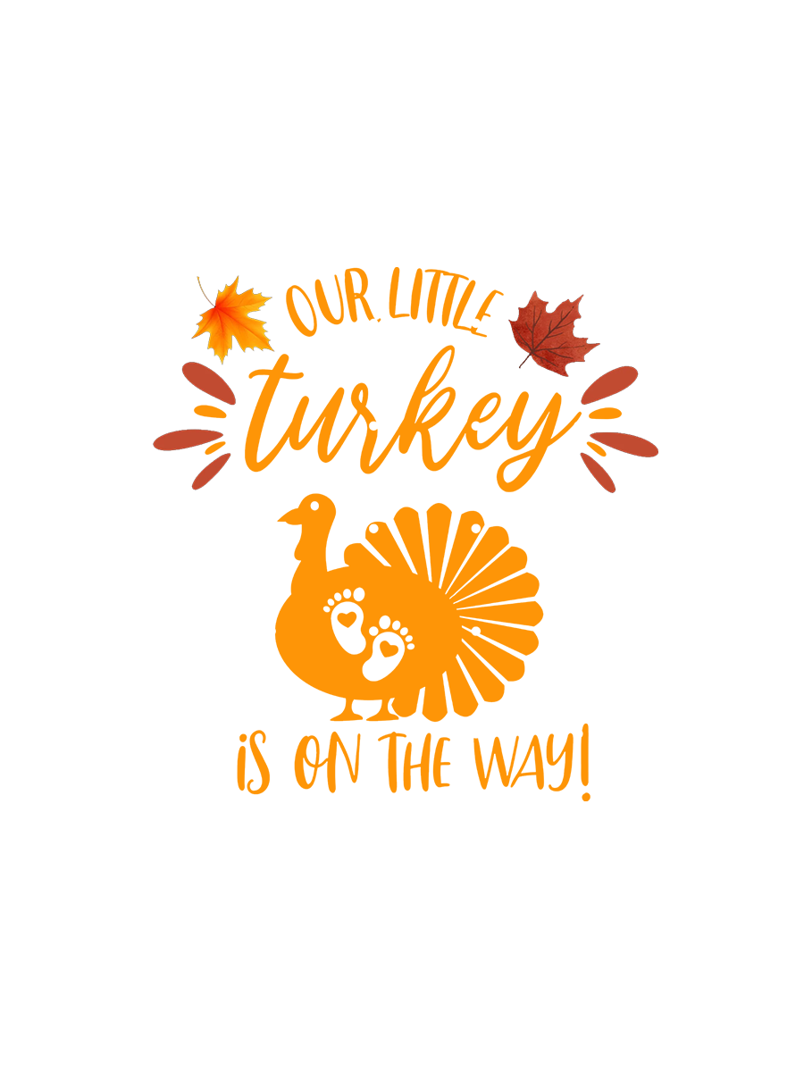 Our Little Turkey is On the Way Thankgiving Couple Shirt