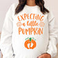 Expecting A Little Pumpkin Maternity Sweatshirt